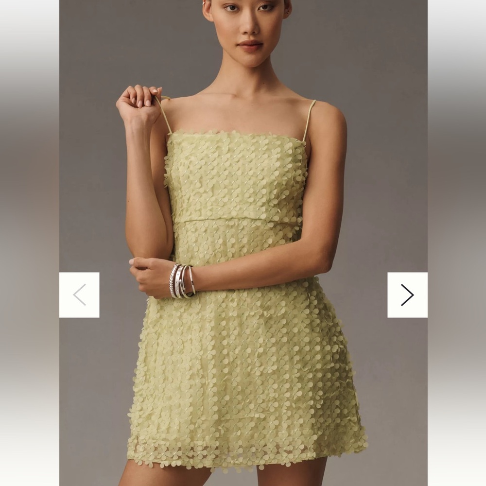 By Anthropologie 3D Floral Embellished Mini Dress